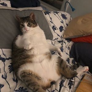 Meet your Posher, Rebecca